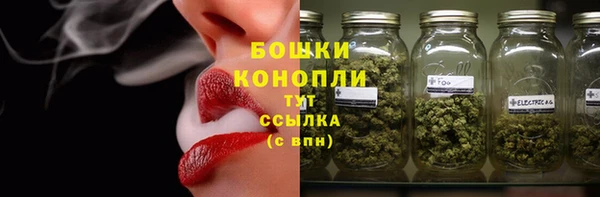 тгк Дмитровск