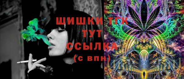 тгк Дмитровск