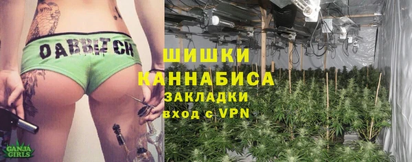 тгк Дмитровск
