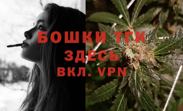 тгк Дмитровск
