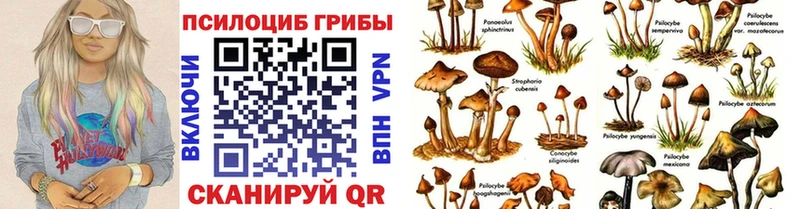 Псилоцибиновые грибы прущие грибы  Купить где  Никольское 