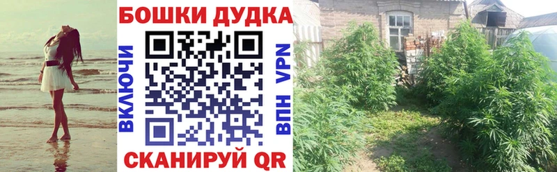 Купить где  Никольское  Бошки марихуана ГИДРОПОН 